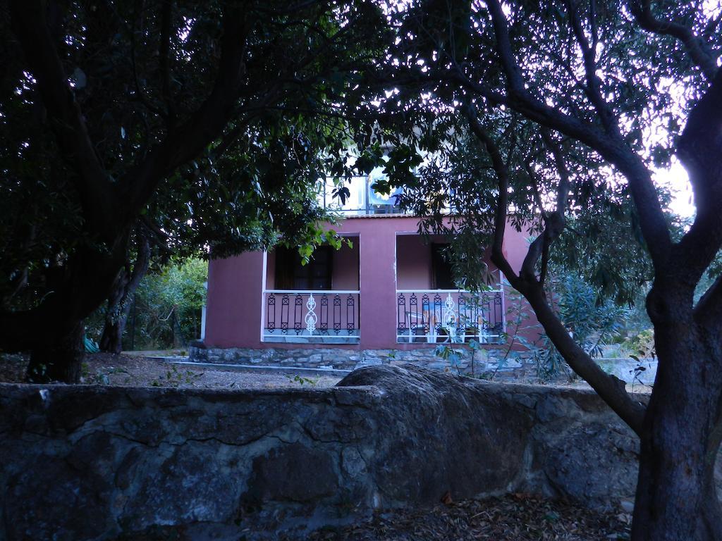 Kyra'S Paradise Potistika Pokoj fotografie